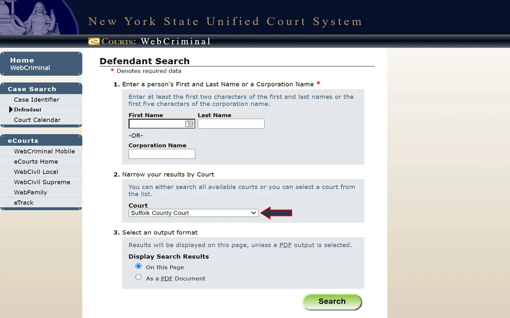 A screenshot from the New York State Unified Court System provides fields to enter a person's first and last name or a corporation name, options to narrow results by court, and the choice to display results on the page or output as a PDF document.